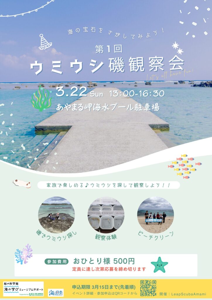 第一回ウミウシ観察会@奄美大島