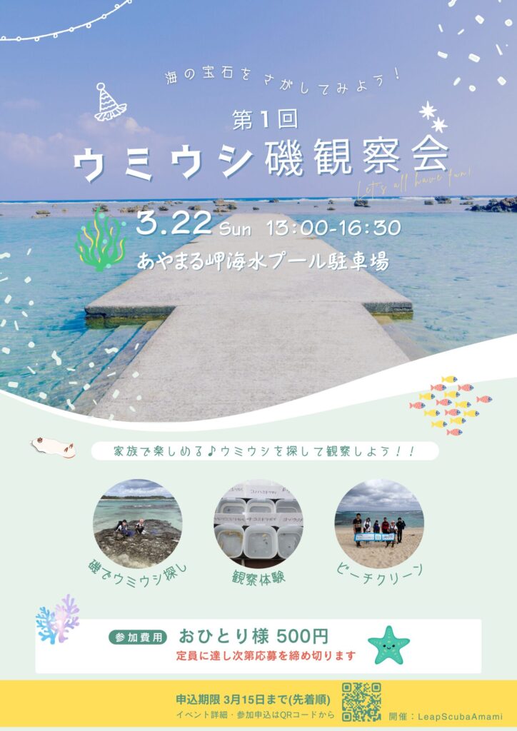 第一回ウミウシ観察会@奄美大島