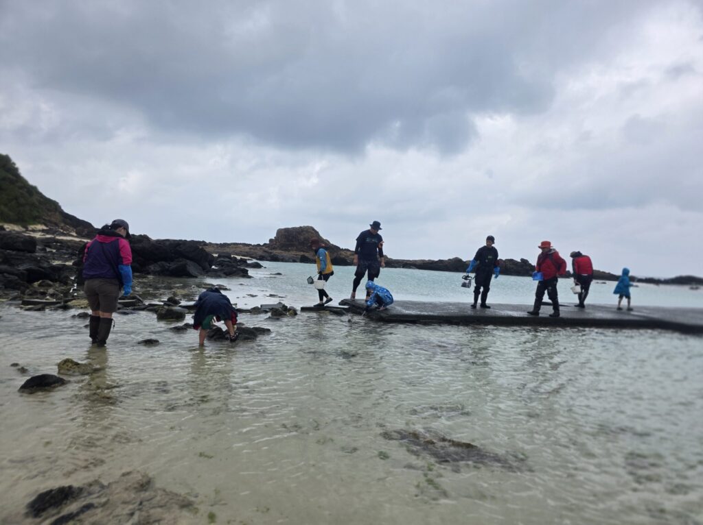 磯でのウミウシ探し風景
